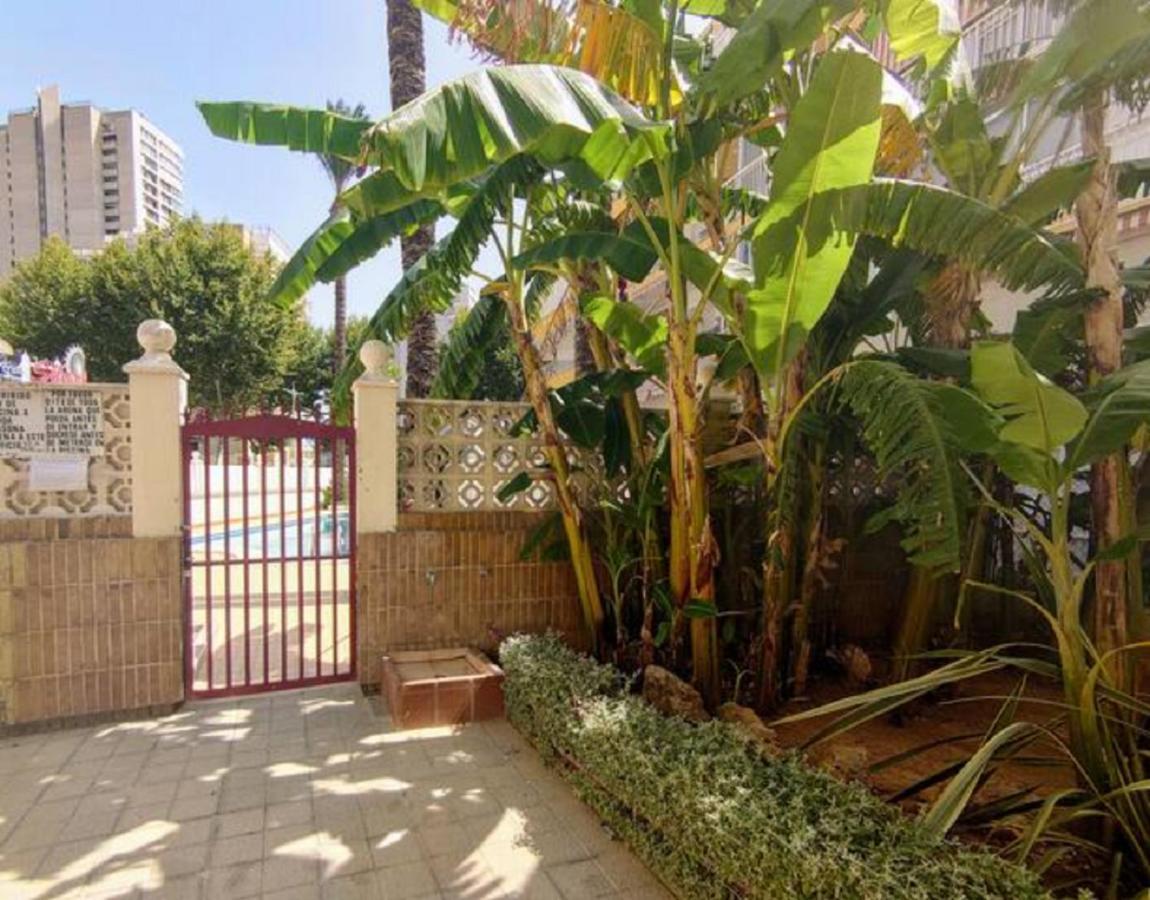 Benidorm Rocas One, Un Oasis A 100 Metros Del Mar Apartment Exterior photo